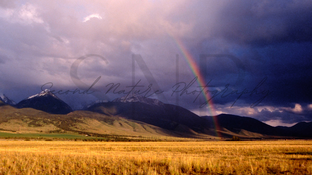 Paradise Valley, Montana Photography Art | Second Nature Photography