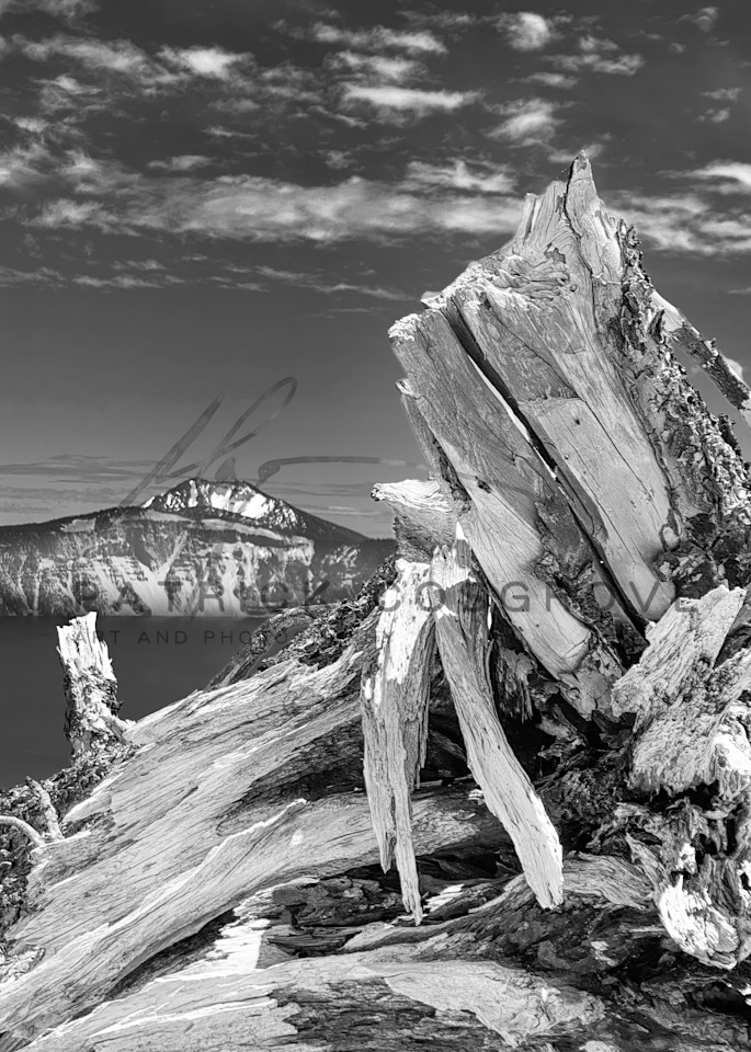 A weathered stump warms in the Summer light at the edge of still-snowy Crater Lake.
