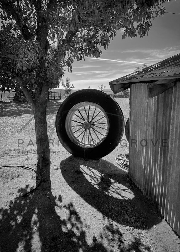 A tractor tire awaits further use at Pheasant Trek Ranch in Yolo County, California.