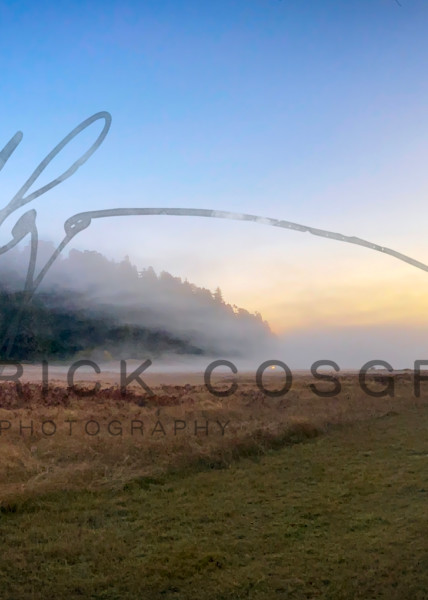 Heavy fog floats into a meadow at sunset in Prairie Creek Redwoods State Park, Humboldt County, Califoria.