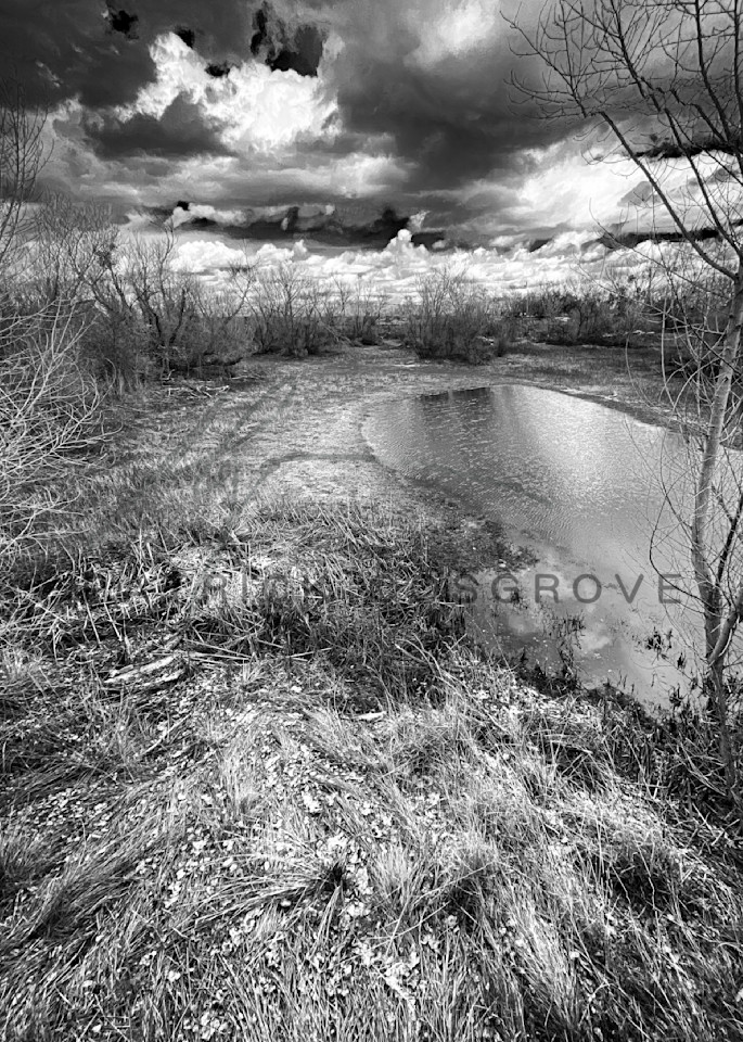 Cloudy Partansky Pond Art | Patrick Cosgrove Art and Photography