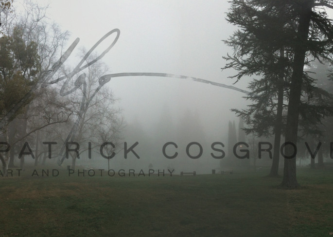 Land Park Mist Art | Patrick Cosgrove Art and Photography