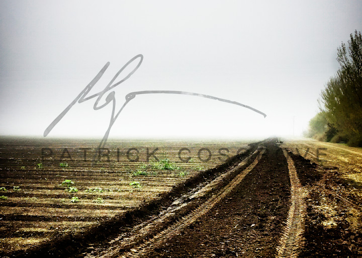 Morning fog turns tractor tracks into brushstrokes in a plowed field.