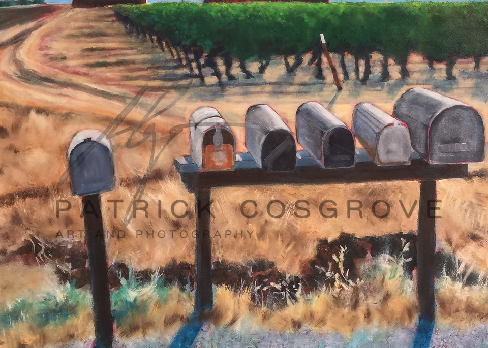 Barns, Vines,  And Mailboxes Art | Patrick Cosgrove Art and Photography