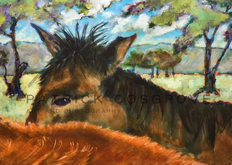 Capay Horses  Art | Patrick Cosgrove Art and Photography