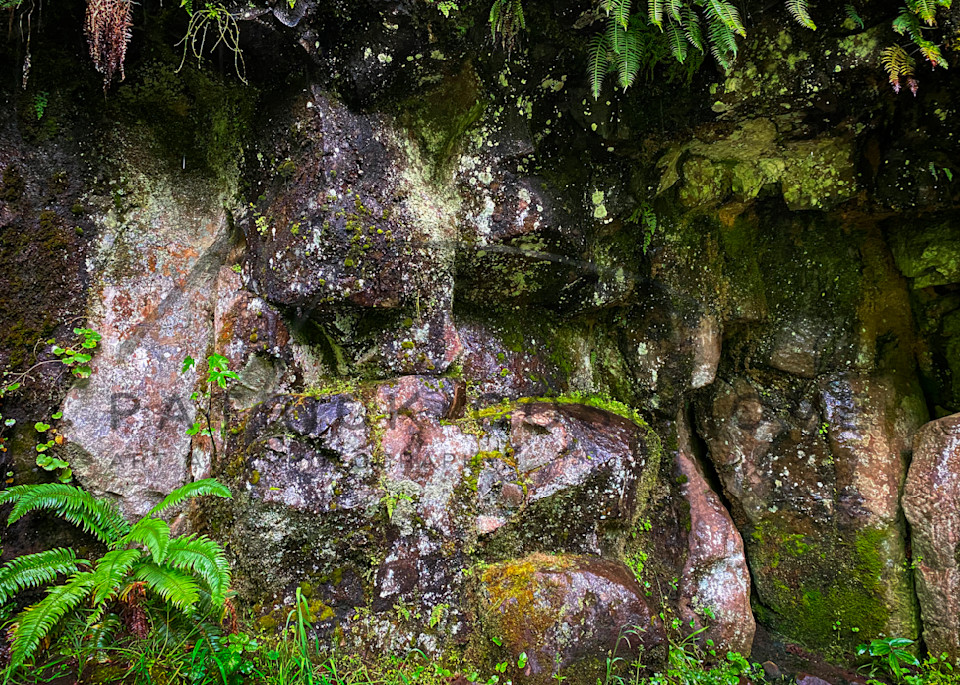 A mossy wall of rock lines a hiking trail in Silver Creek State Park, Oregon.