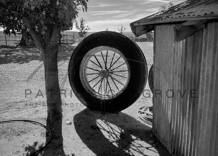 A tractor tire awaits further use at Pheasant Trek Ranch in Yolo County, California.