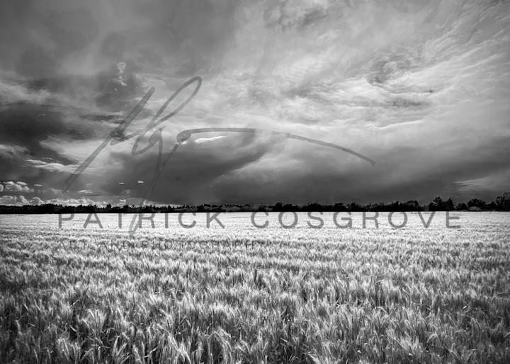 The sun burns through scattered storm clouds above a winter wheat field in Yolo County, California.