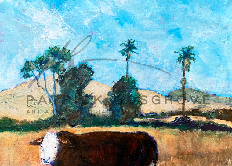 A bull gazes at an observer beneath the Yolo County, California sun.