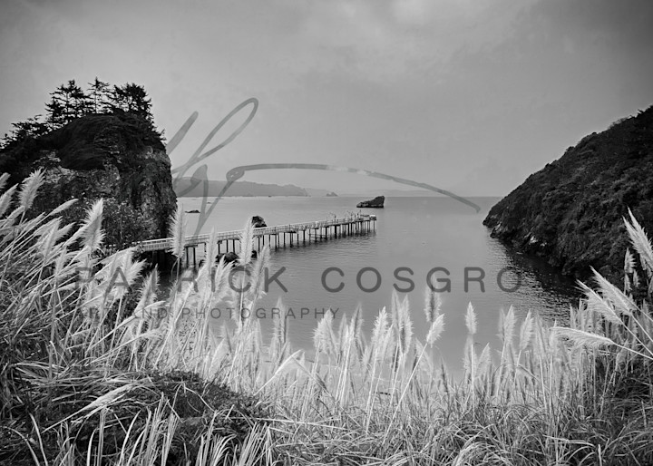 Pampas grass frames the rocky Trinidad Bay in Humboldt County, California.