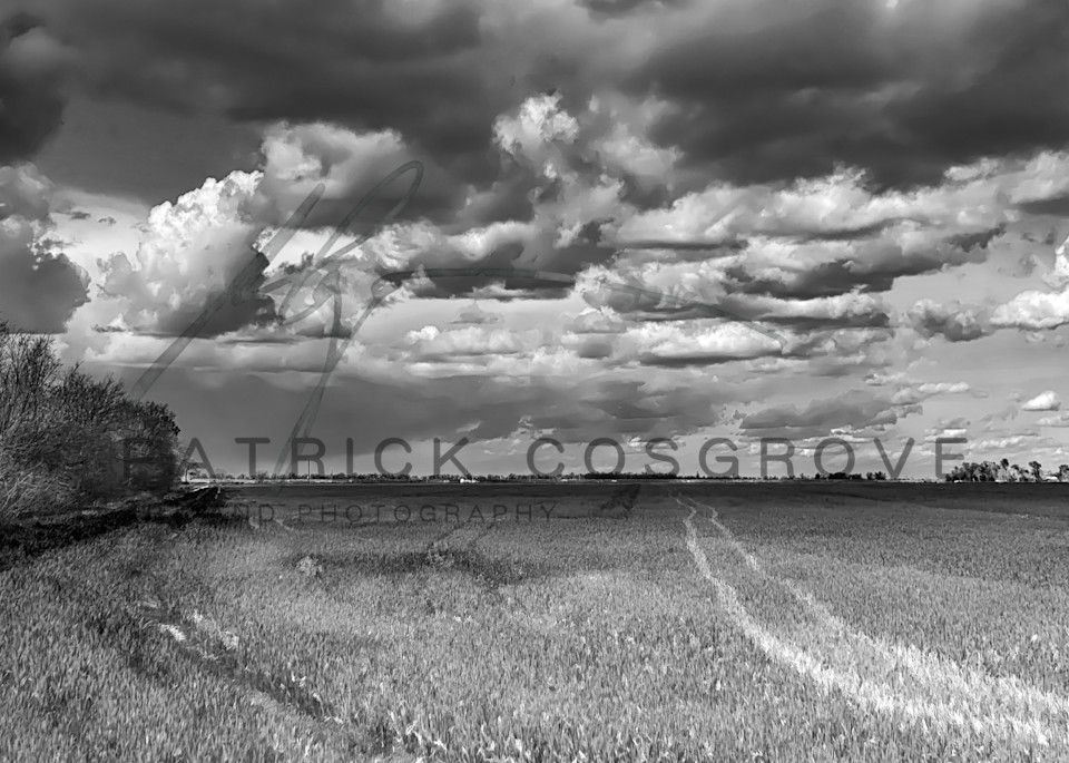 Traces Across A Field Art | Patrick Cosgrove Art and Photography