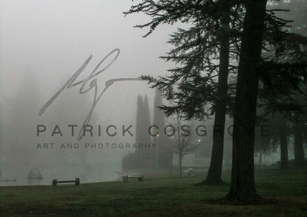 Duck Lake And Mist Art | Patrick Cosgrove Art and Photography
