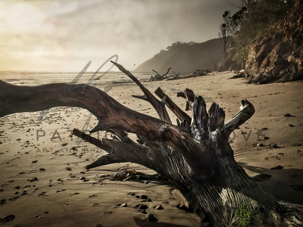Sandy Agate Beach Driftwood Art | Patrick Cosgrove Art and Photography