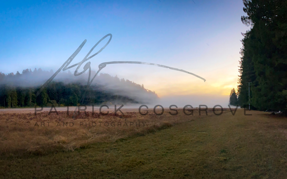 Heavy fog floats into a meadow at sunset in Prairie Creek Redwoods State Park, Humboldt County, Califoria.