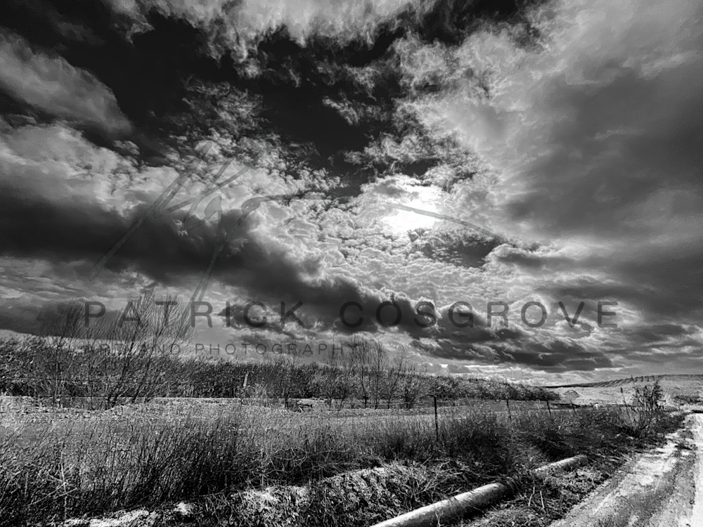 Orchard Path And Pipe Art | Patrick Cosgrove Art and Photography