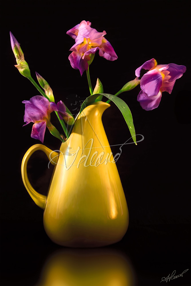 The Gathering Photography Art | Fred Reaves Fine Art Images
