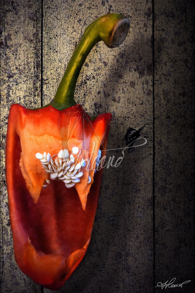 The Red Pepper Photography Art | Fred Reaves Fine Art Images