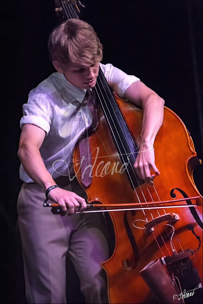 Paul Kowert Punch Bros Photography Art | Fred Reaves Fine Art Images