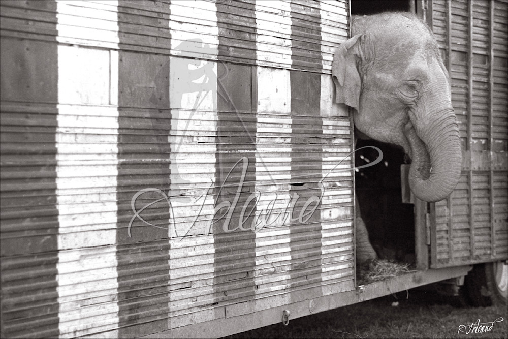 Truckin Photography Art | Fred Reaves Fine Art Images