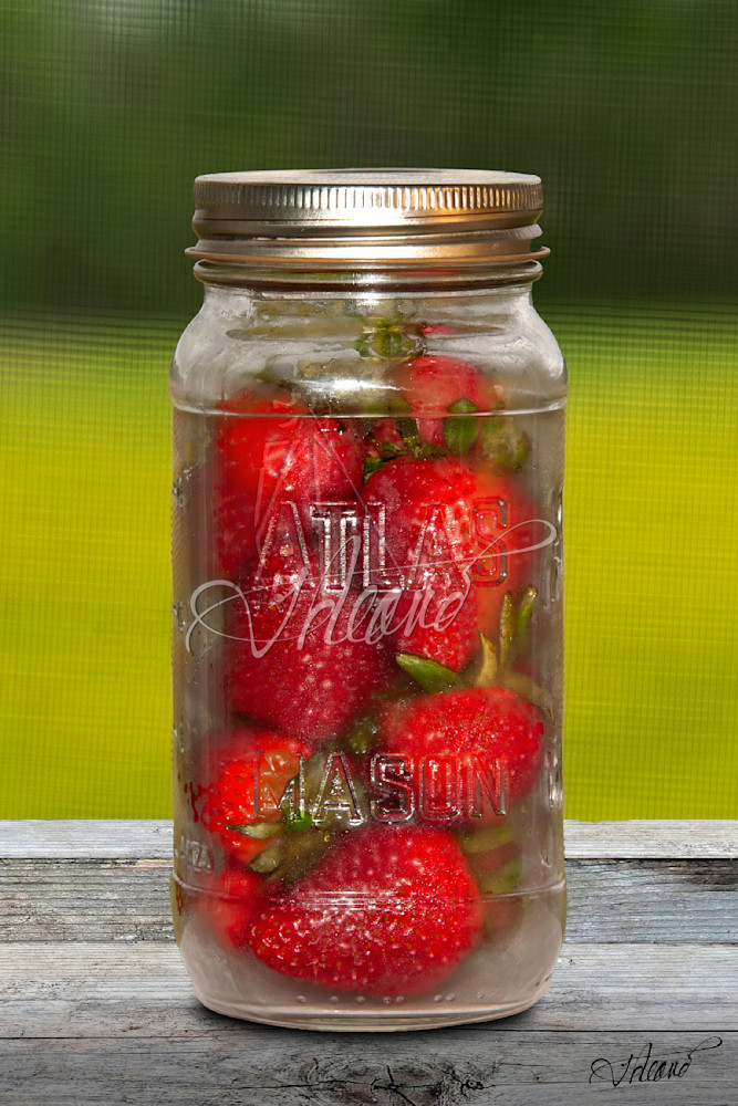 Strawberry Jar Photography Art | Fred Reaves Fine Art Images
