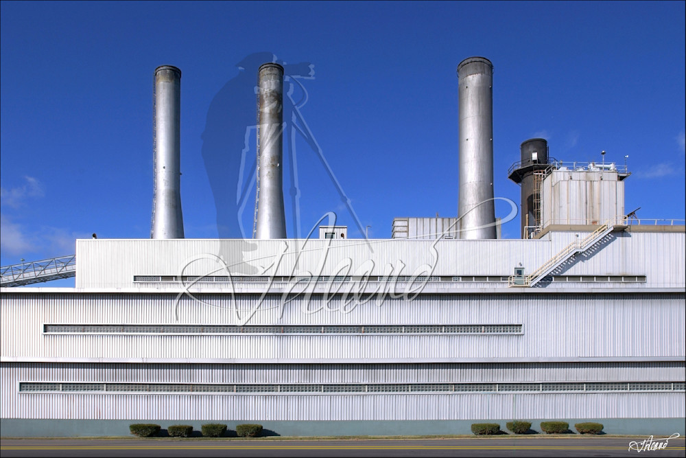 Hml P Plant 2 Photography Art | Fred Reaves Fine Art Images
