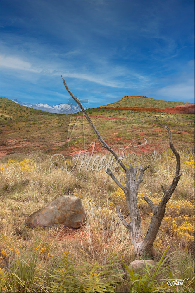 Montana Messa Photography Art | Fred Reaves Fine Art Images