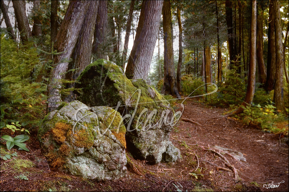 Zen Garden 2 Photography Art | Fred Reaves Fine Art Images