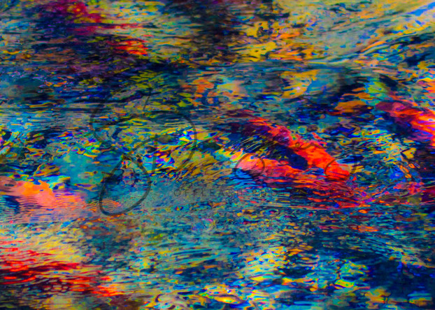 Kokanee Abstract 2 Art | Offleash Photography