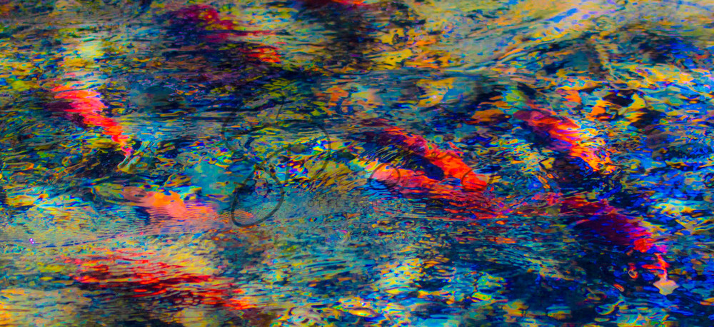 Kokanee Abstract 2 Art | Offleash Photography