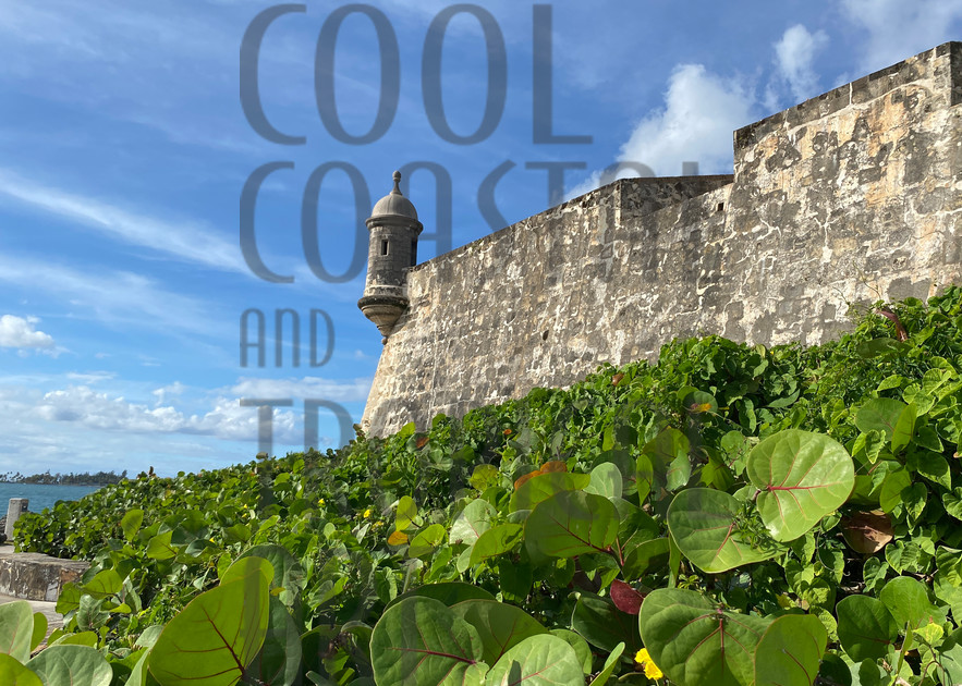 El Morro Castle Side Wall Garita Art | Cool Coastal & Tropical Art