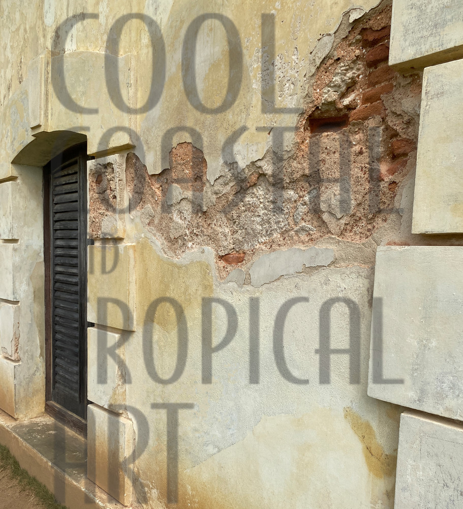 Antique Wall And Window Art | Cool Coastal & Tropical Art