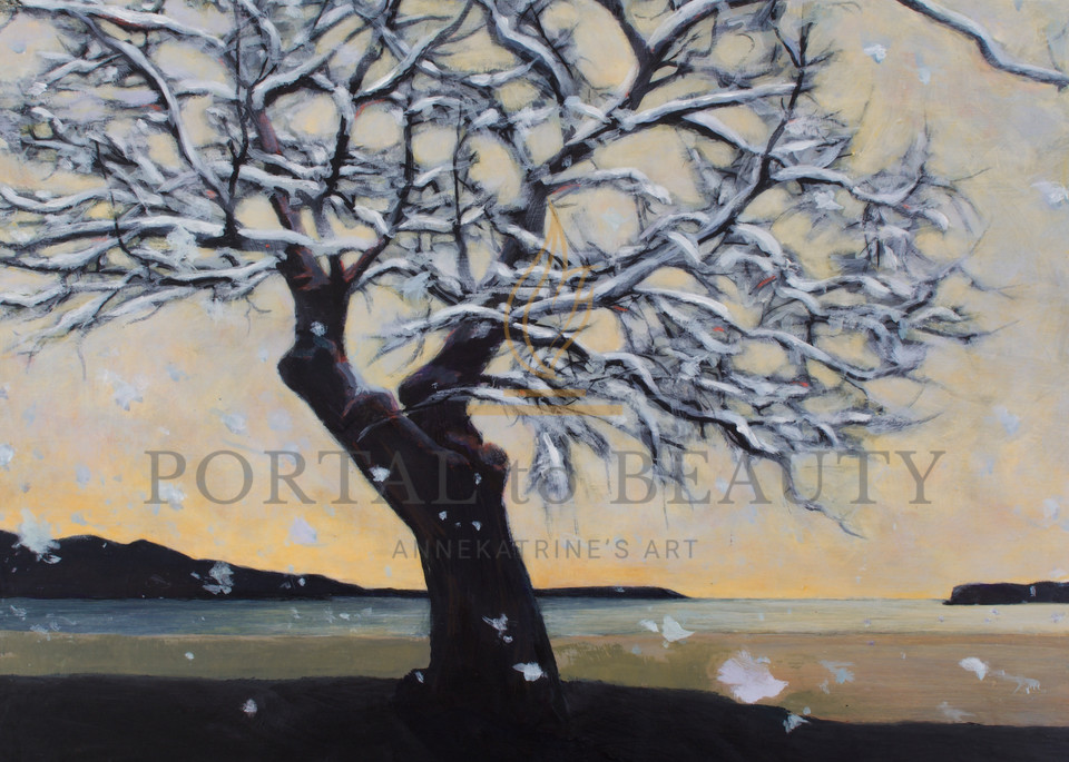 Winter Bay Art | Portal to Beauty
