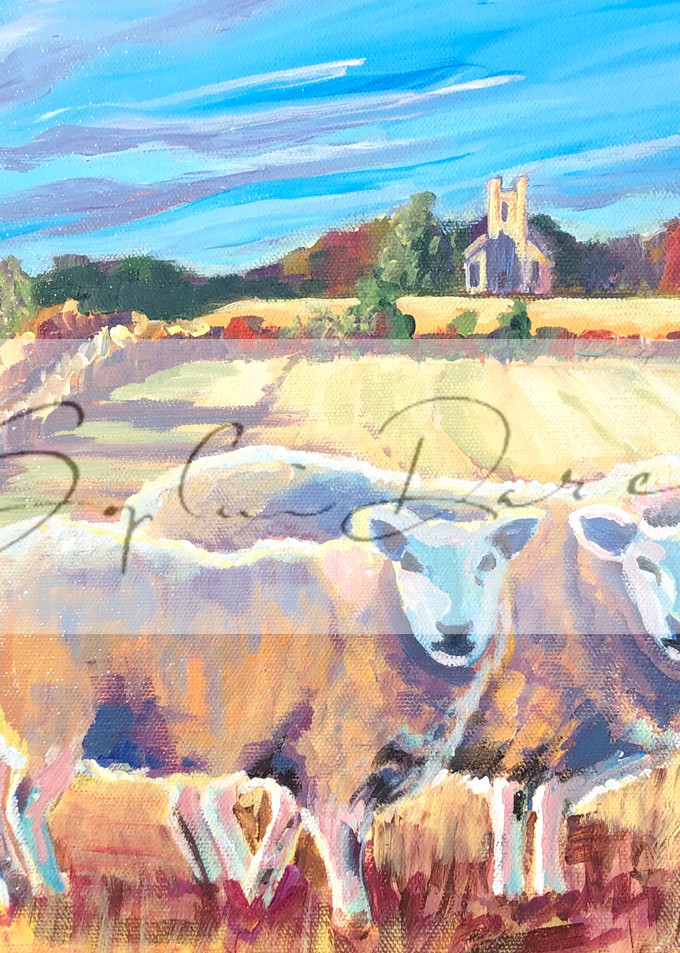 Sheep At Parrandier Art | Sophie Dare Designs