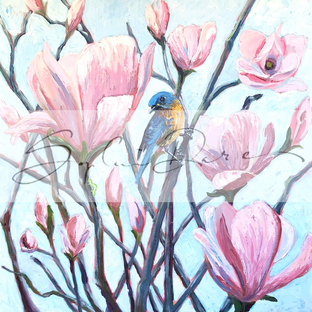  magnolias bluebird pink magnolias