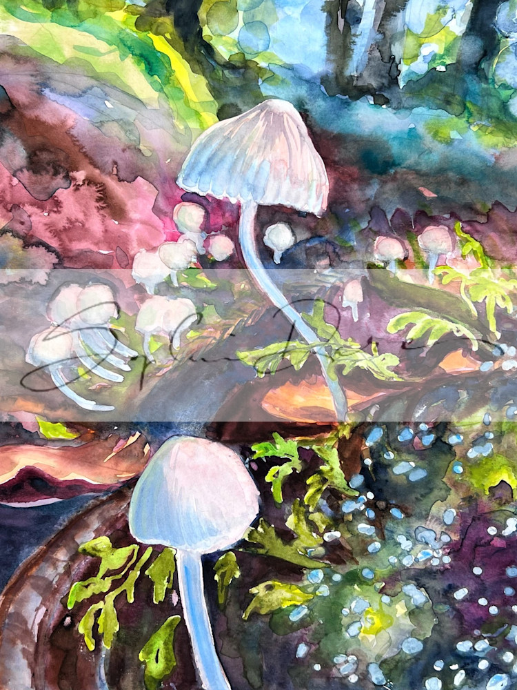 Mushroom 10 Print Art | Sophie Dare Designs