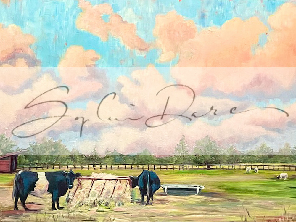 Belted Galloways At Sunset Art | Sophie Dare Designs