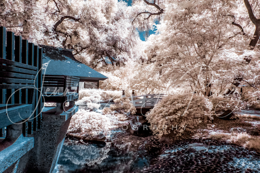 Hidden Japanese Garden Photography Art | Jennifer Sunglao Photography