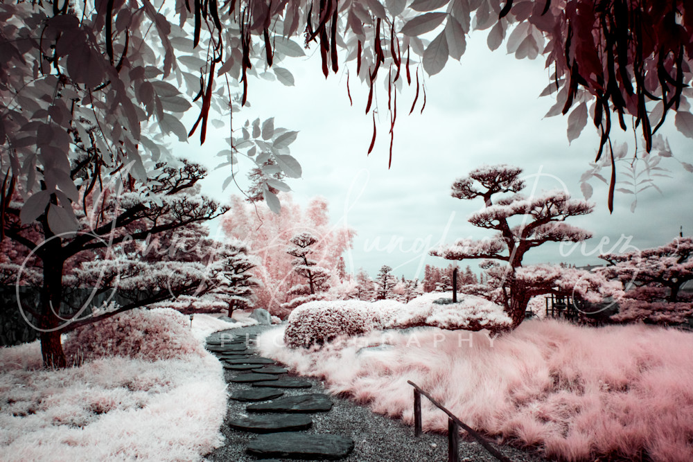 Japanese Tea Garden Photography Art | Jennifer Sunglao Photography