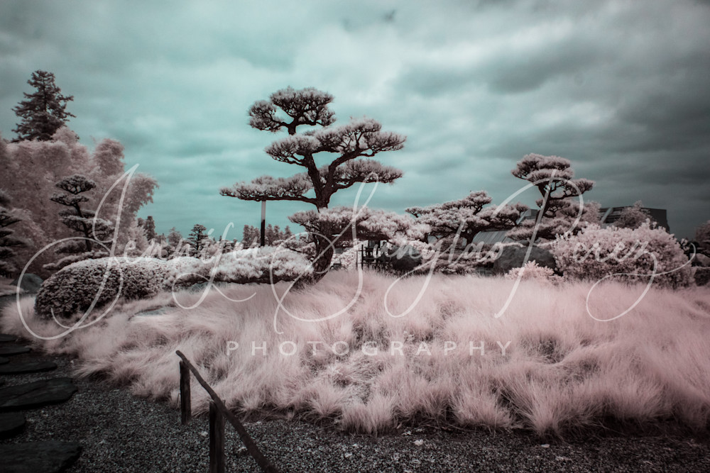 Japanese Gardens Photography Art | Jennifer Sunglao Photography