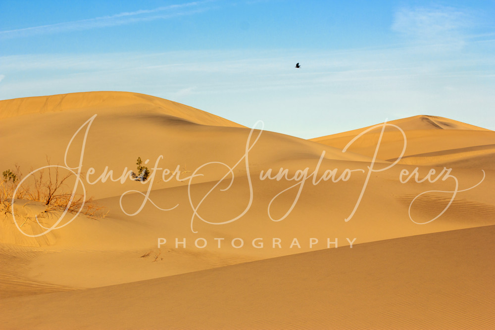 Sand As Far As The Eye Can See Photography Art | Jennifer Sunglao Photography