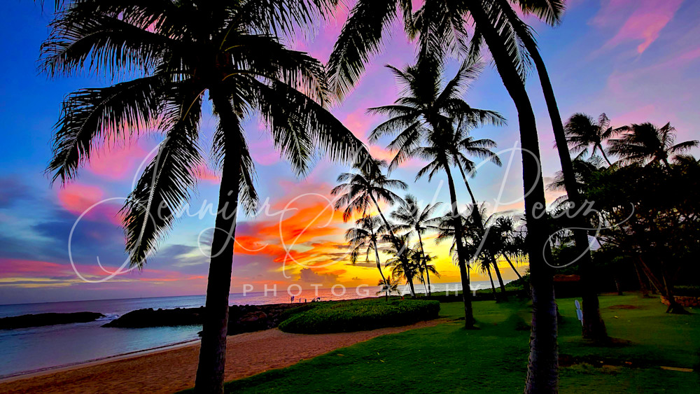 Hawaiian Palmtree Sunset Photography Art | Jennifer Sunglao Photography