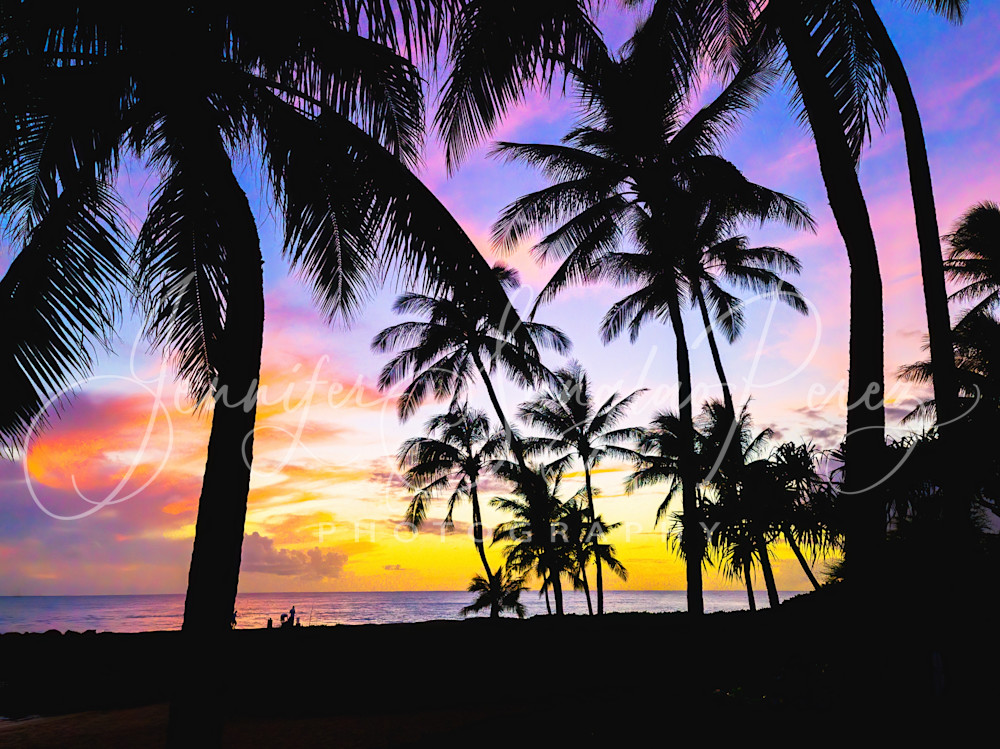 Palm Tree Sunset Alt Photography Art | Jennifer Sunglao Photography
