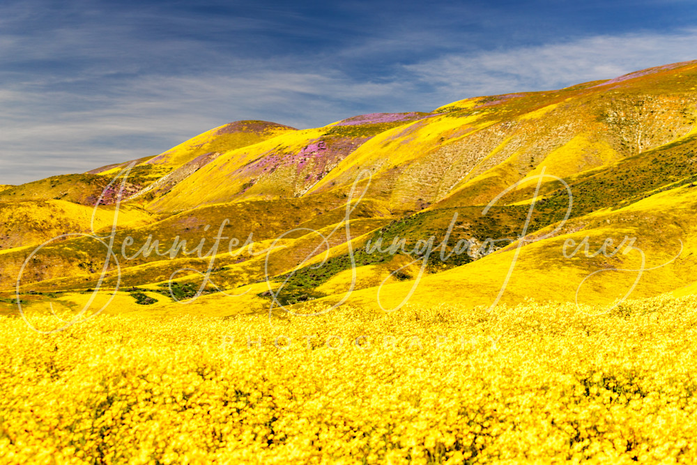 Flowered Hills2 Carrizo Plains Img 1121 Edit Photography Art | Jennifer Sunglao Photography