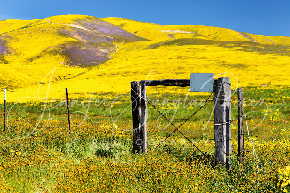Gate In Front Of Flowered Hills Photography Art | Jennifer Sunglao Photography