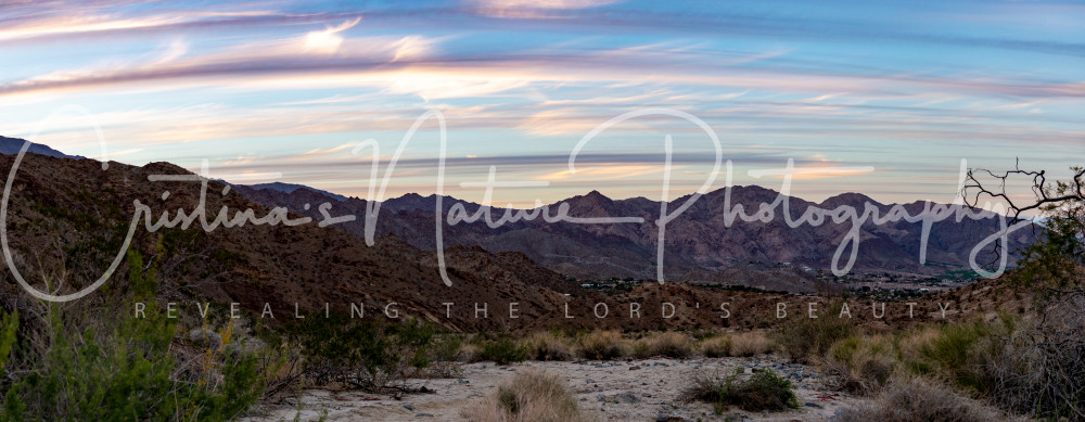 Desert Sunset Photography Art | Cristina Turlea Photographer