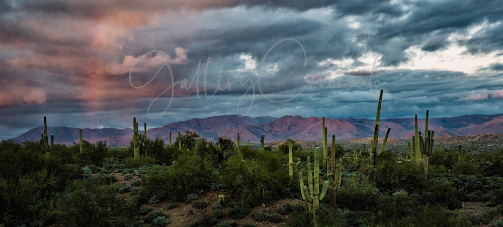 Red Blue Desert Sky Art | GalleryCoronado