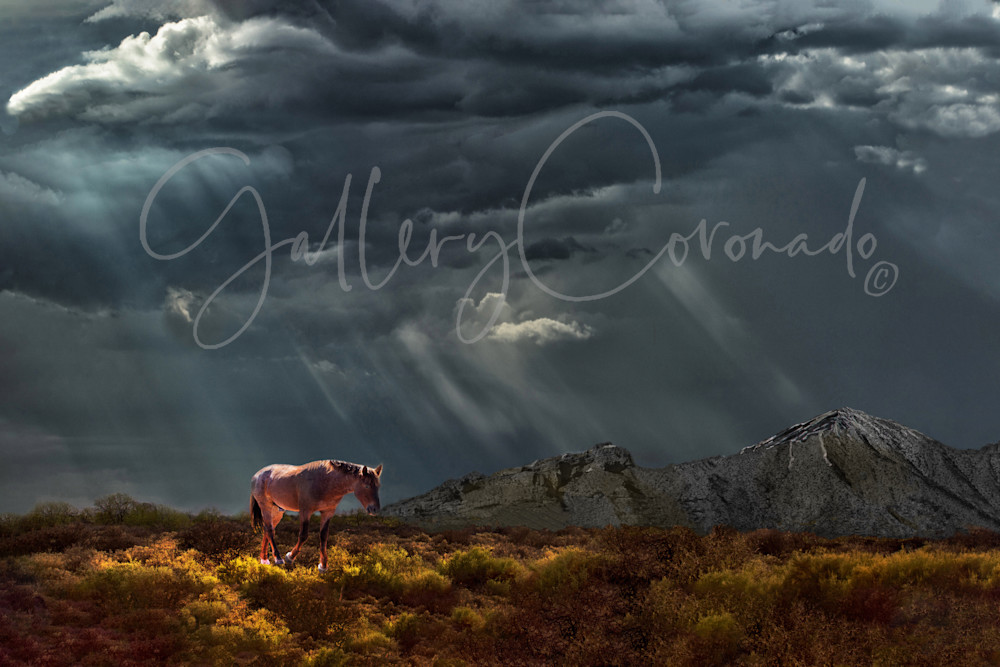 Horsin' Around In A Storm Art | GalleryCoronado