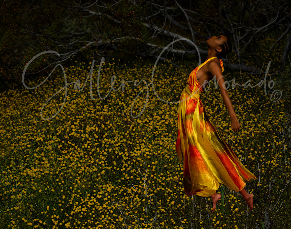 Tip Toe Art | GalleryCoronado