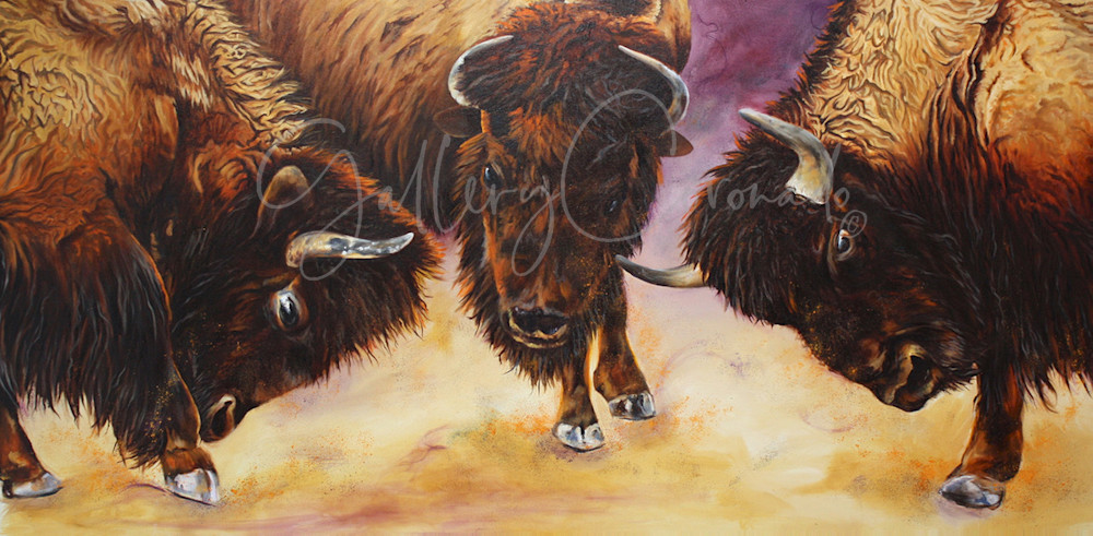 April Howland's Meeting of the Minds - Buffalo headbutting, fine art, print
