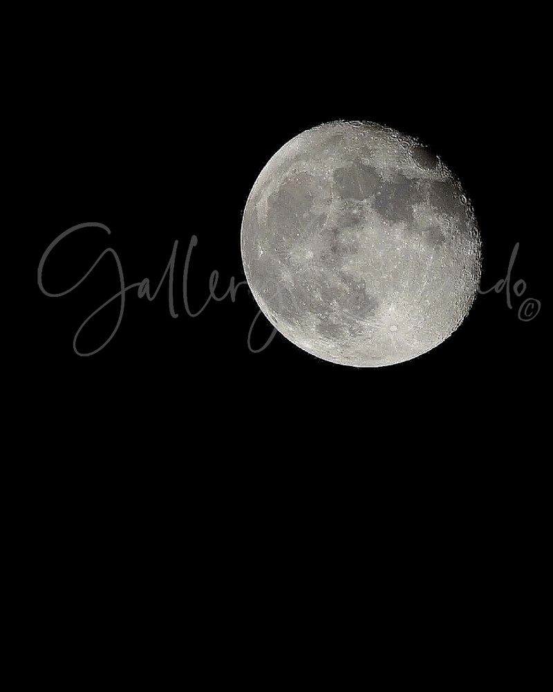 Silver Moon Art | GalleryCoronado